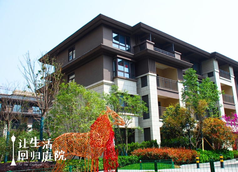 前后观望南阳50年：这样的庭院，很难再有了！