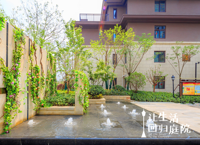 前后观望南阳50年：这样的庭院，很难再有了！
