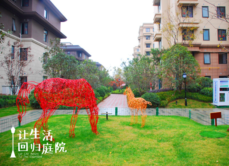 前后观望南阳50年：这样的庭院，很难再有了！