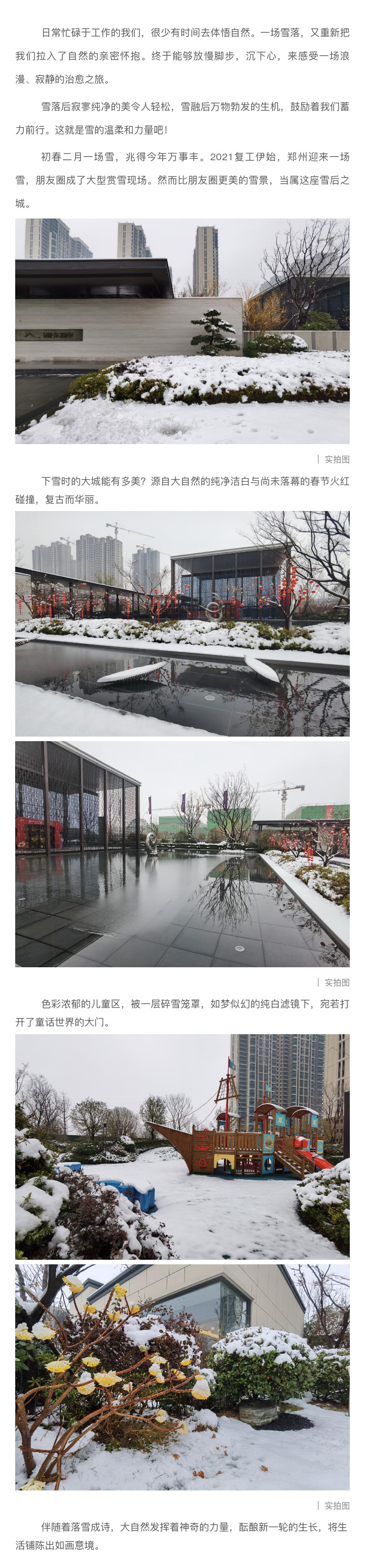 2021浪漫开年，共赏一场鹅毛大雪！